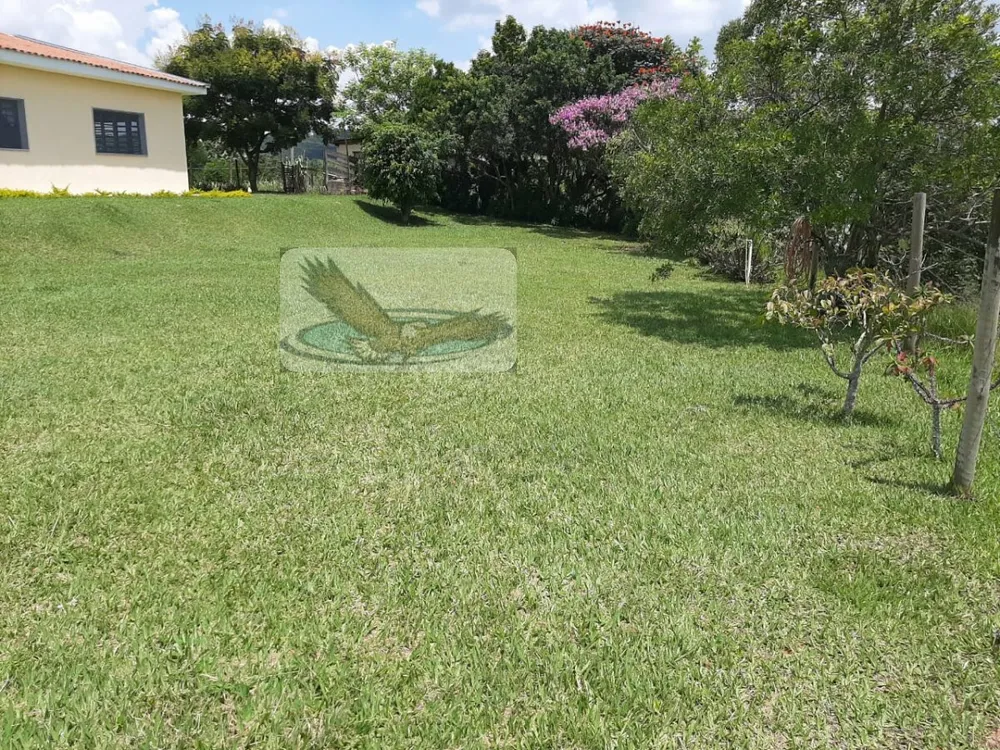 Sítio, 3 quartos, 2 hectares - Foto 4