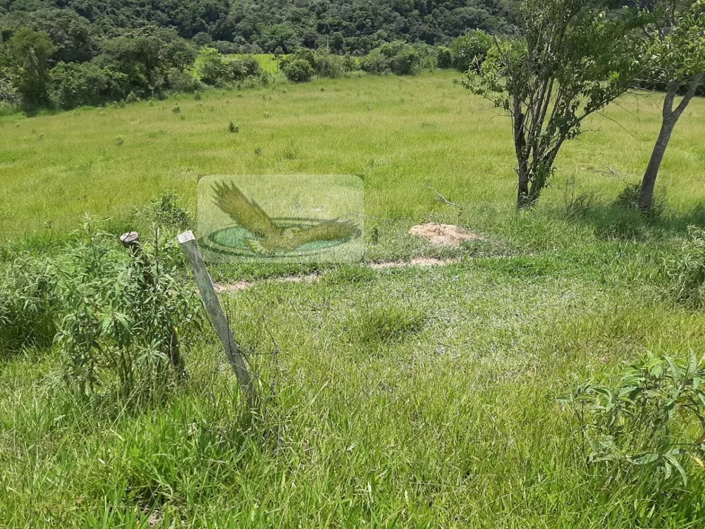 Sítio, 3 quartos, 2 hectares - Foto 9