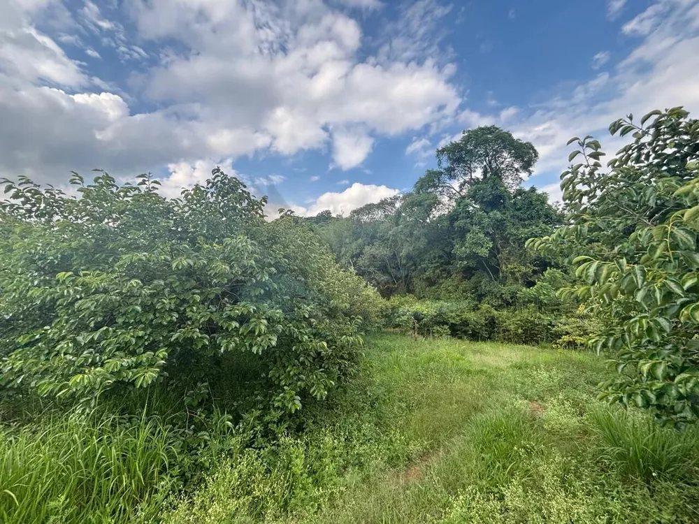 Sítio, 3 hectares - Foto 1