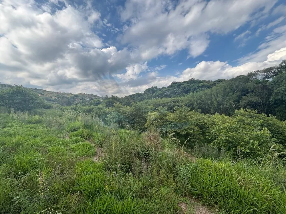 Sítio, 3 hectares - Foto 2