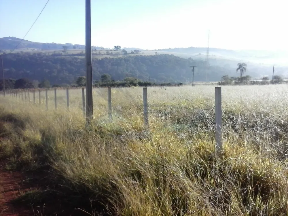 Terreno, 8000 m² - Foto 17