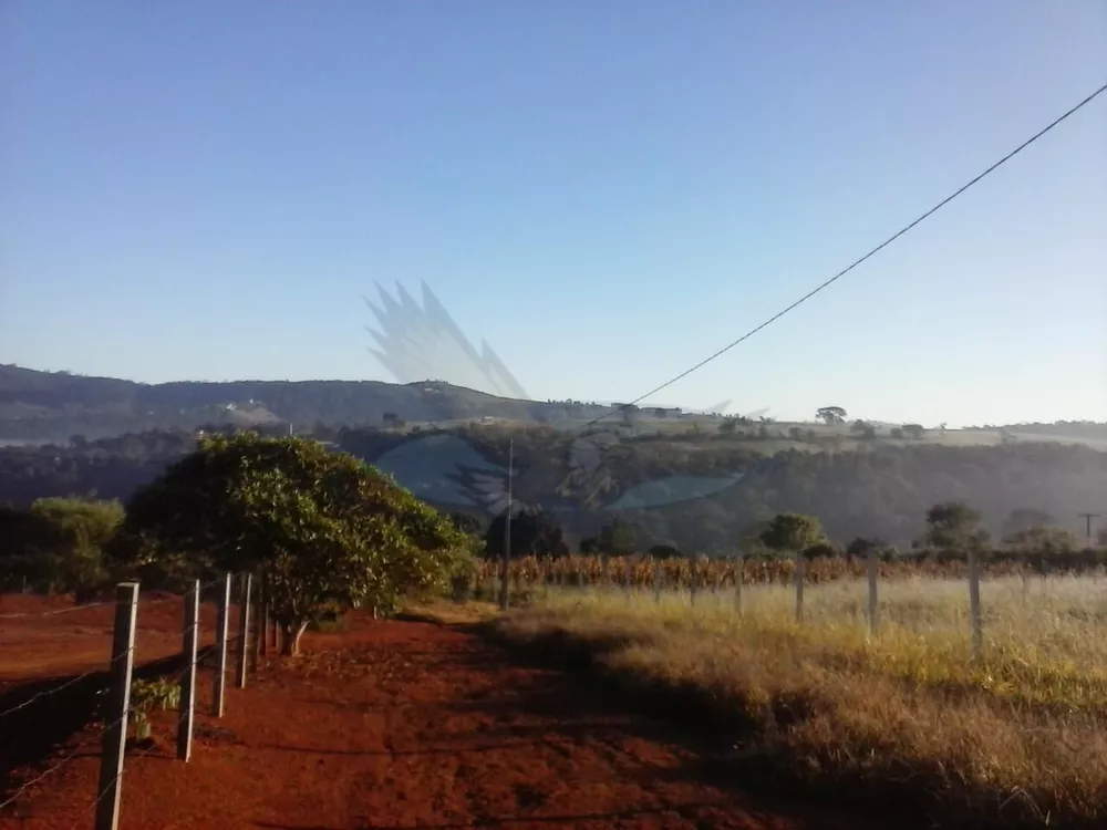 Terreno, 8000 m² - Foto 1