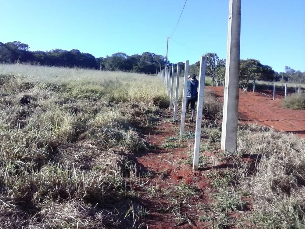 Terreno, 8000 m² - Foto 3