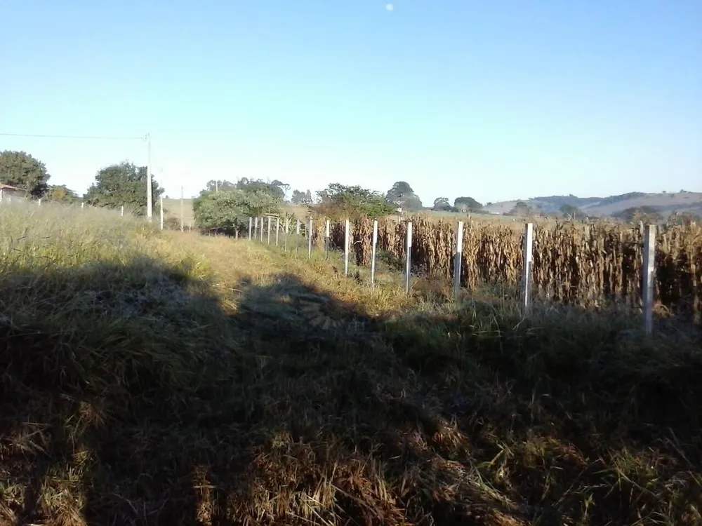 Terreno, 8000 m² - Foto 15