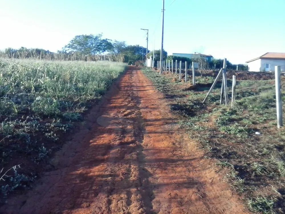 Terreno, 8000 m² - Foto 1