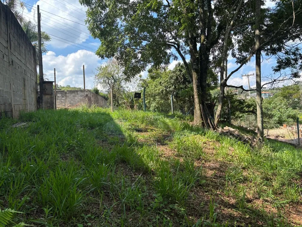 Terreno, 1296 m² - Foto 4
