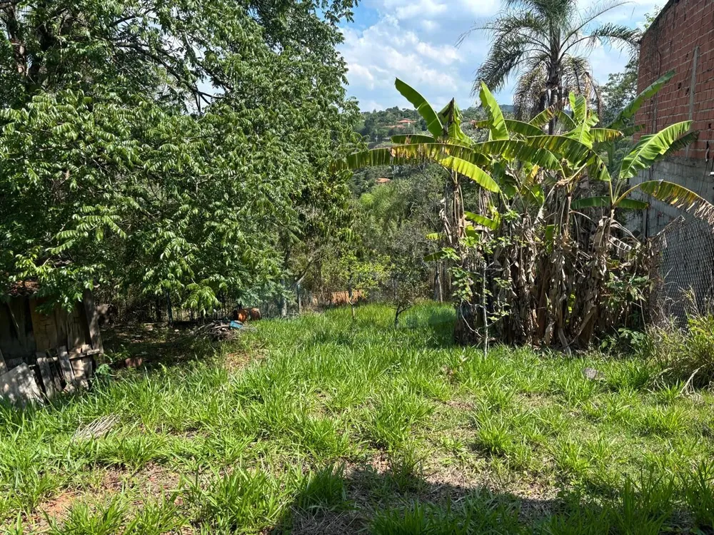 Terreno, 1296 m² - Foto 8