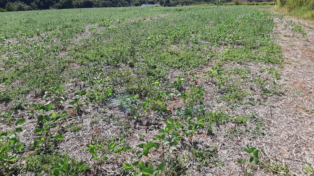 Loteamento e Condomínio, 16 hectares - Foto 3
