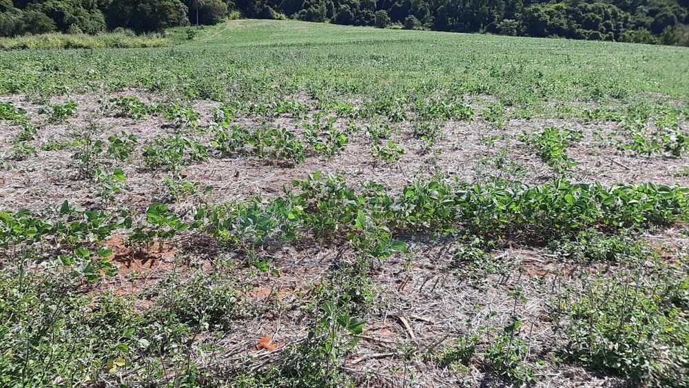 Loteamento e Condomínio, 16 hectares - Foto 8