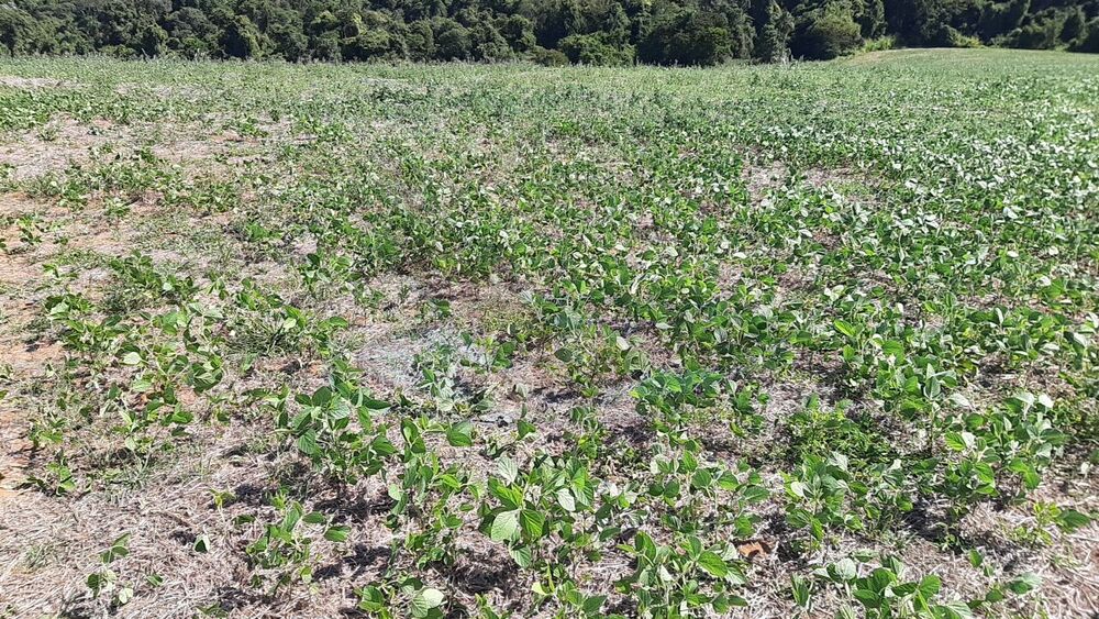 Loteamento e Condomínio, 16 hectares - Foto 10