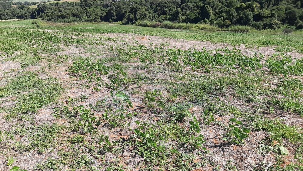 Loteamento e Condomínio, 16 hectares - Foto 6