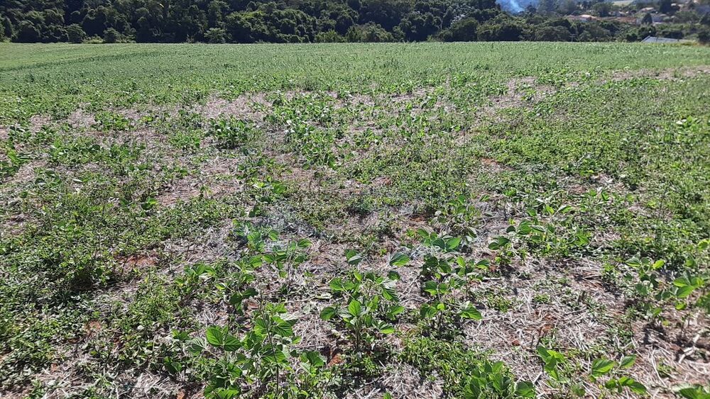 Loteamento e Condomínio, 16 hectares - Foto 1