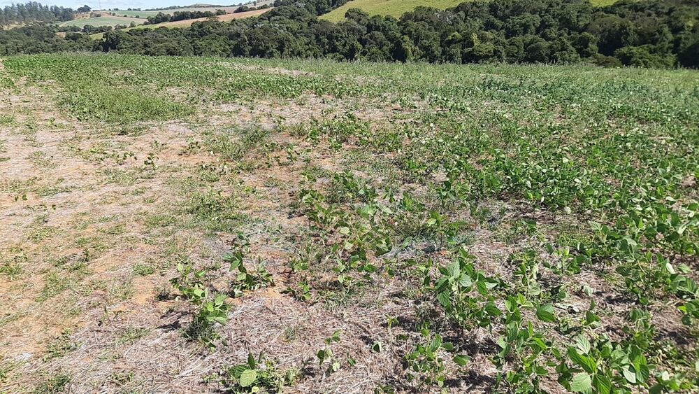 Loteamento e Condomínio, 16 hectares - Foto 9