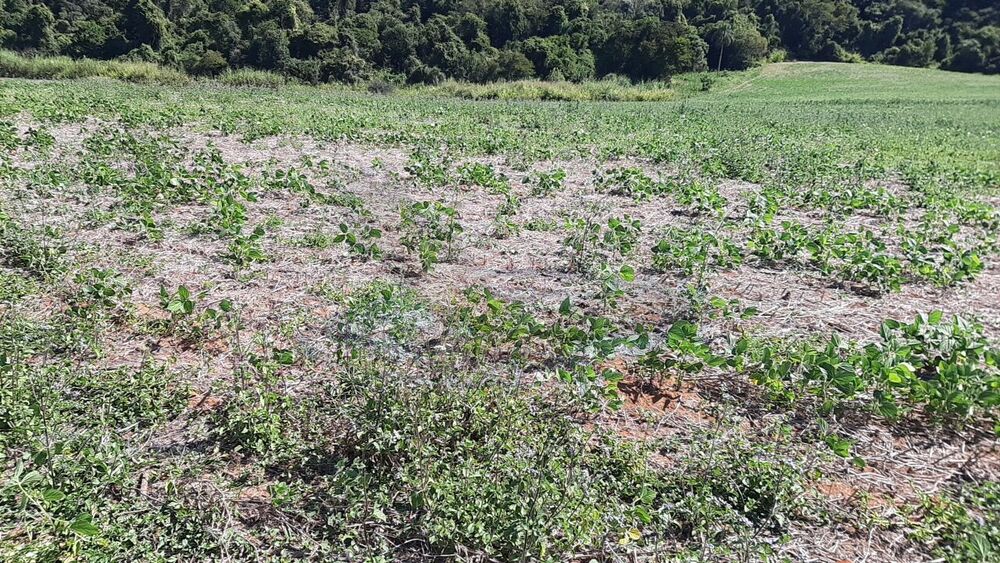 Loteamento e Condomínio, 16 hectares - Foto 7