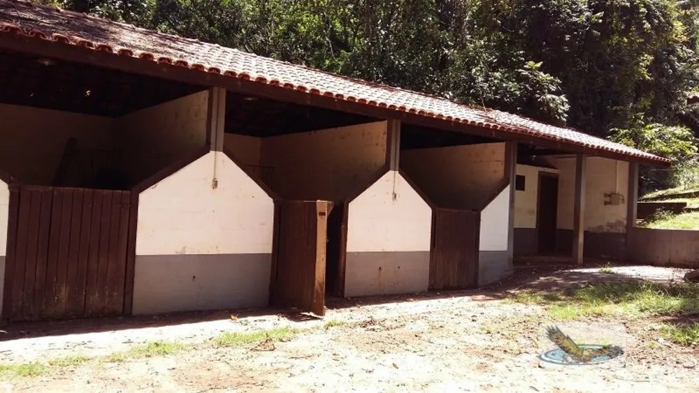 Chácara, 8 quartos, 3 hectares - Foto 14
