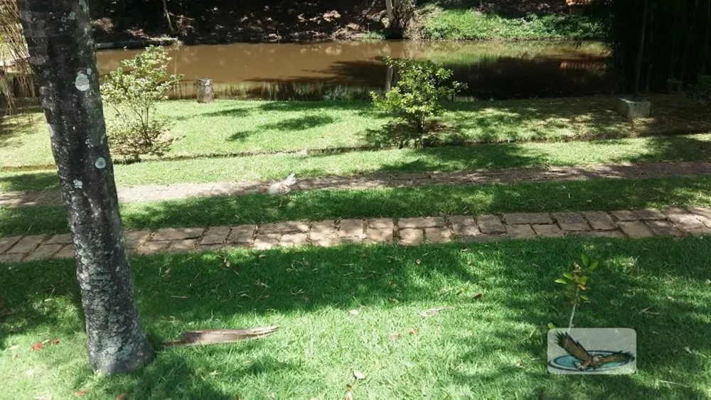 Chácara, 8 quartos, 3 hectares - Foto 19