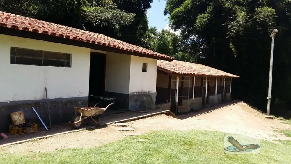 Chácara, 8 quartos, 3 hectares - Foto 5