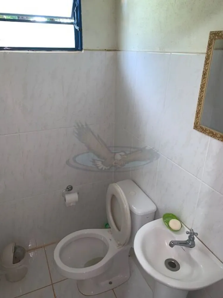 Sítio, 3 quartos, 1615 m² - Foto 11