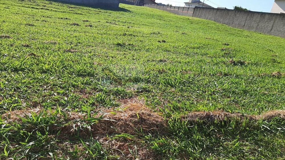 Terreno, 548 m² - Foto 6