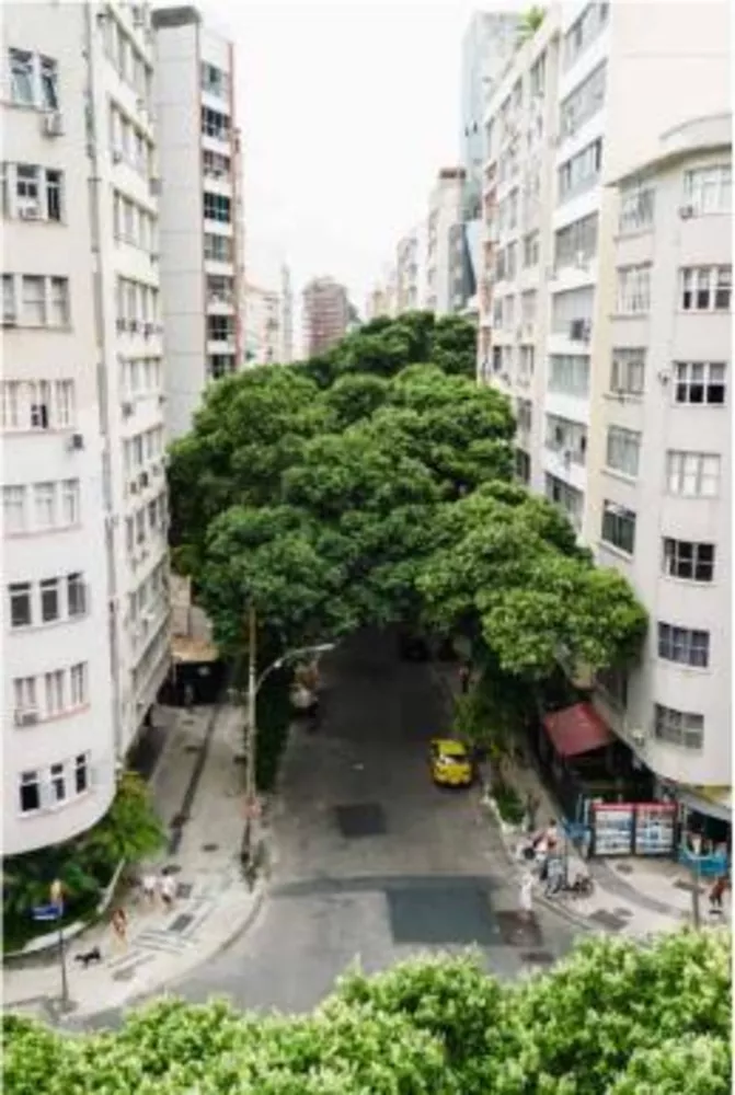 Apartamento, 3 quartos, 92 m² - Foto 9