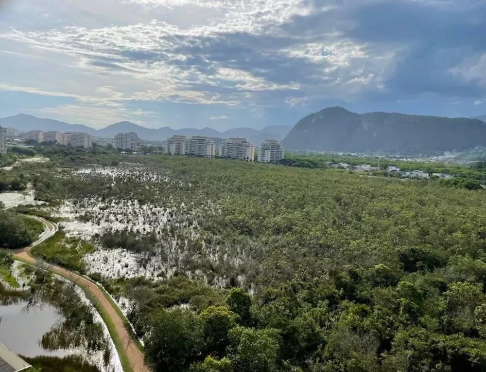 Cobertura, 3 quartos, 320 m² - Foto 6