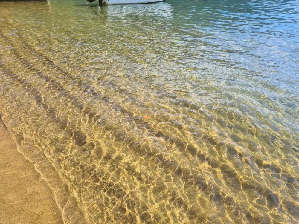 Terreno, 365 m² - Foto 6