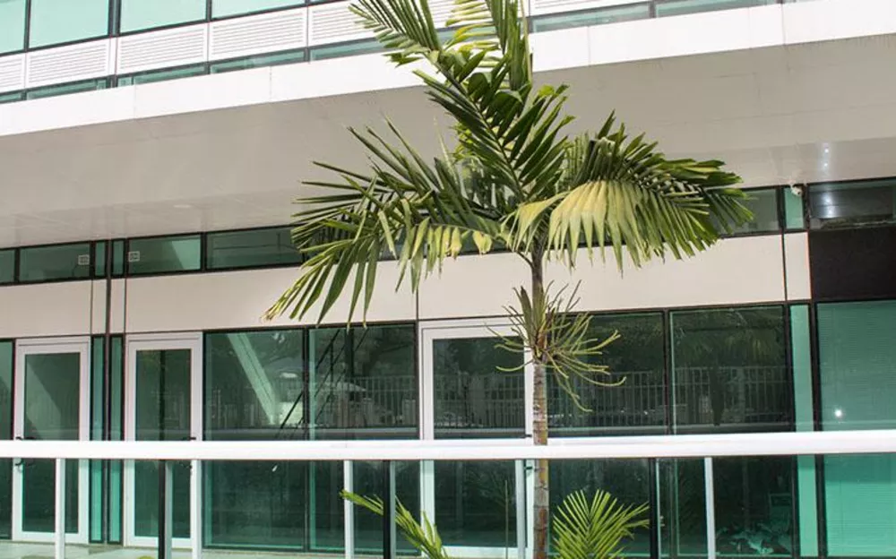 Loja-Salão, 88 m² - Foto 5