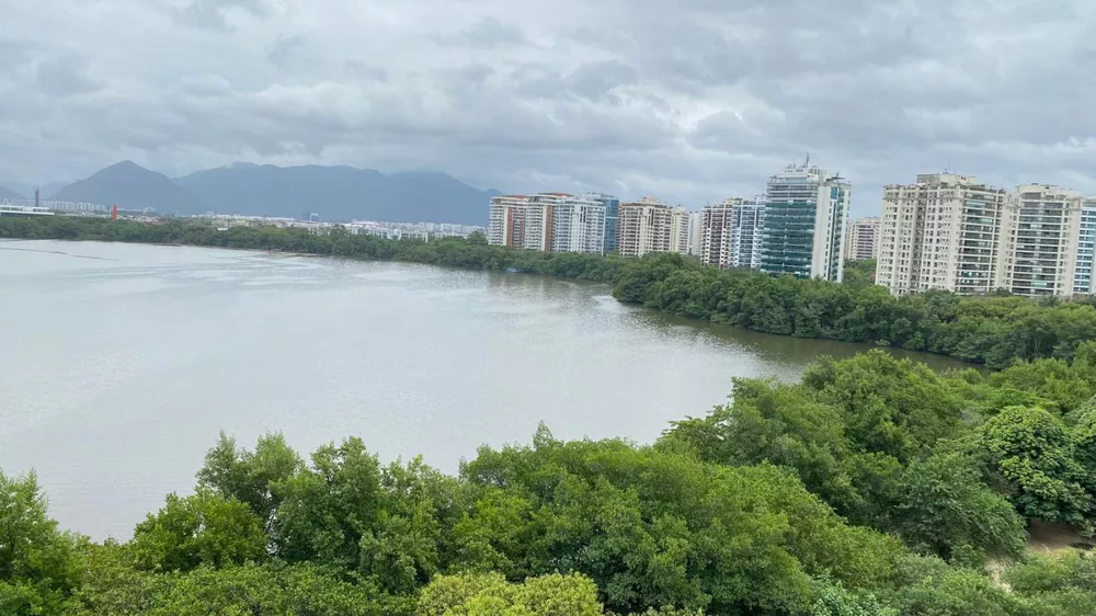 Apartamento, 4 quartos, 307 m² - Foto 14