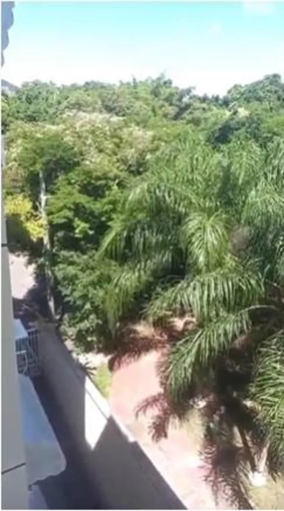 Apartamento, 3 quartos, 65 m² - Foto 26