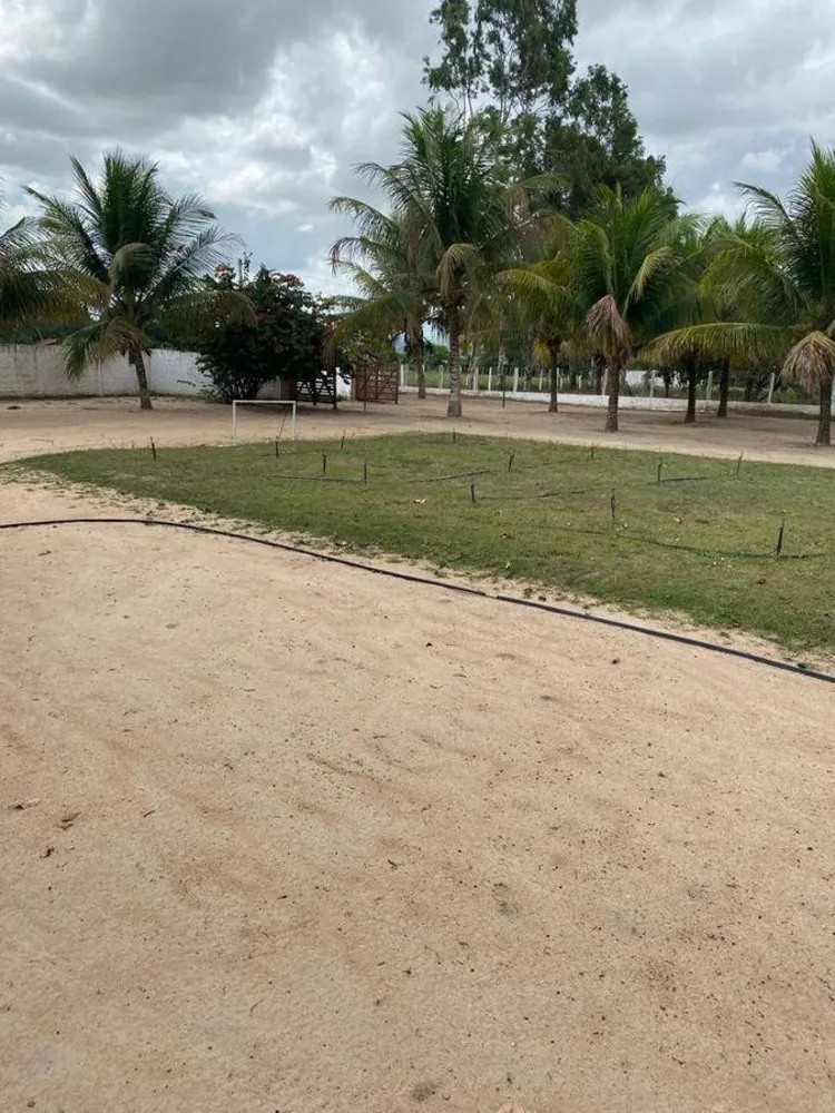 Sítio, 1 quarto, 2000 m² - Foto 5