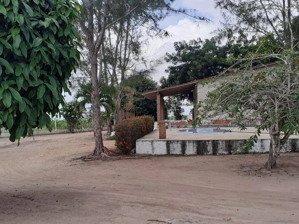 Sítio, 1 quarto, 2000 m² - Foto 4