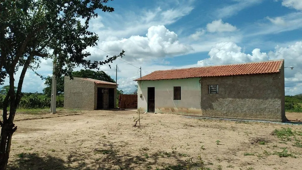 Sítio, 1 quarto, 2000 m² - Foto 4