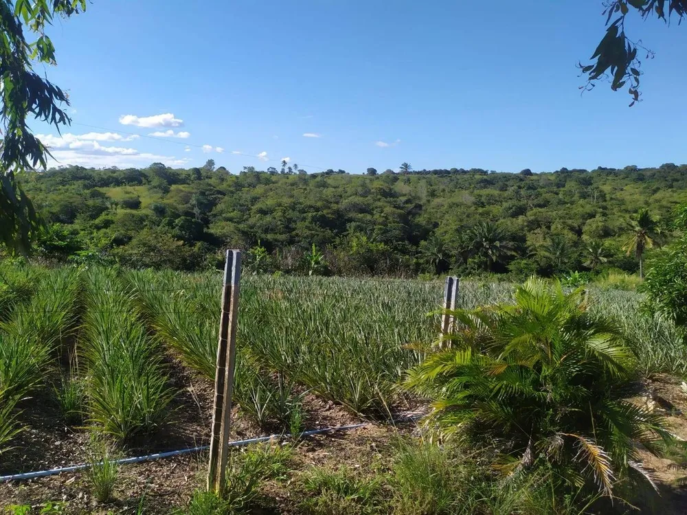 Terreno - Foto 6
