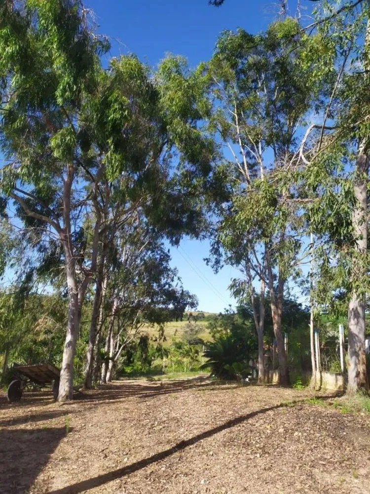 Terreno - Foto 4