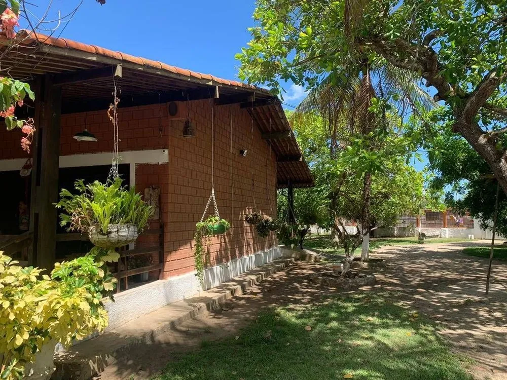 Chácara, 3 quartos, 7278 m² - Foto 12