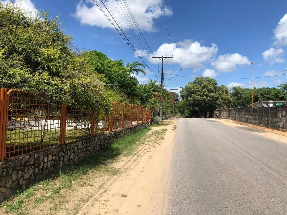 Chácara, 3 quartos, 7278 m² - Foto 10