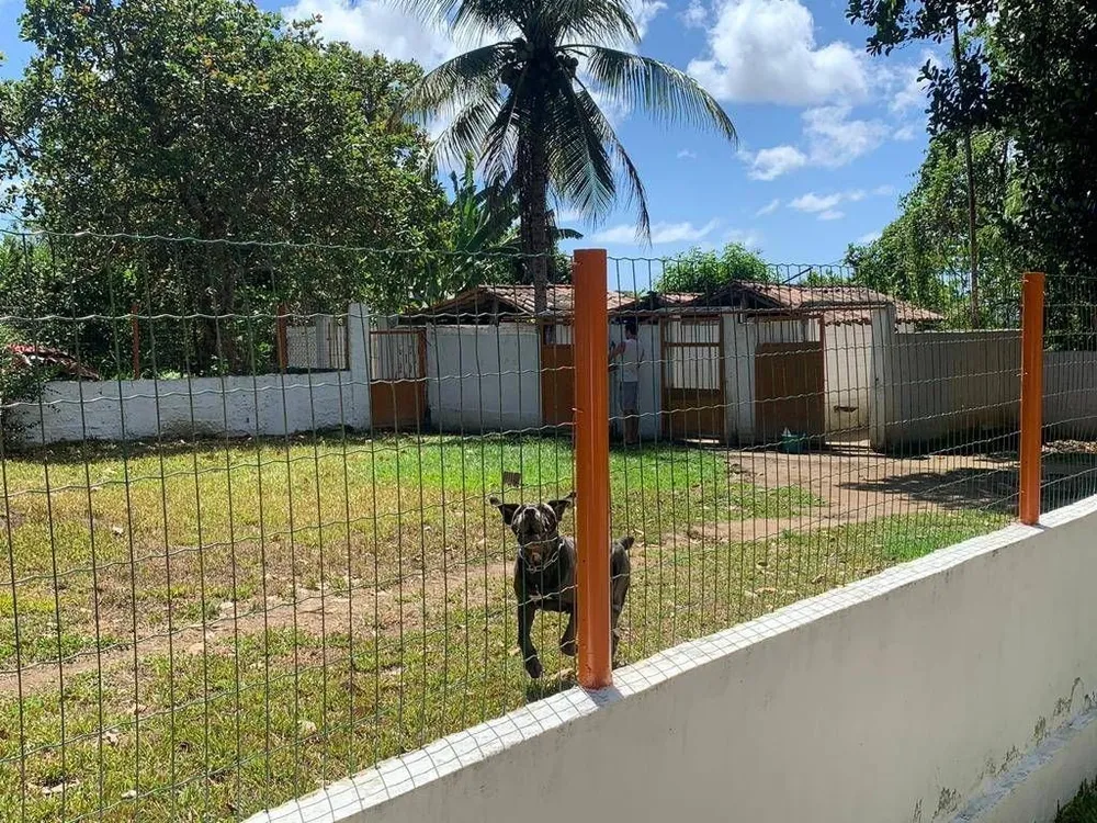 Chácara, 3 quartos, 7278 m² - Foto 7