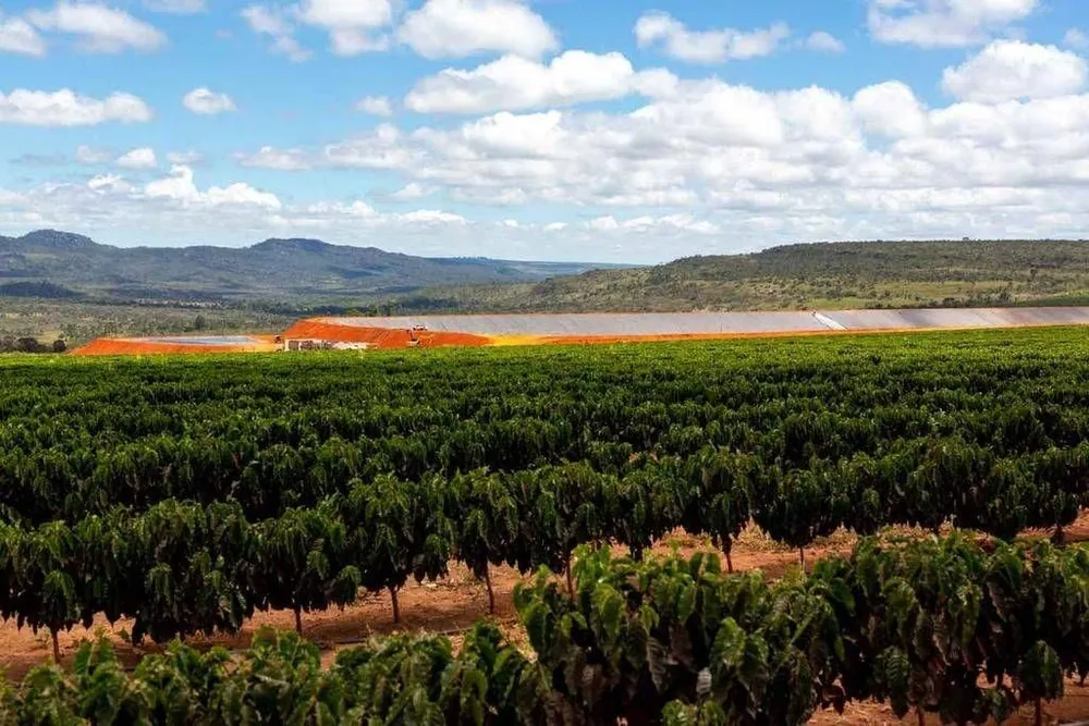 Fazenda, 3000 hectares - Foto 8