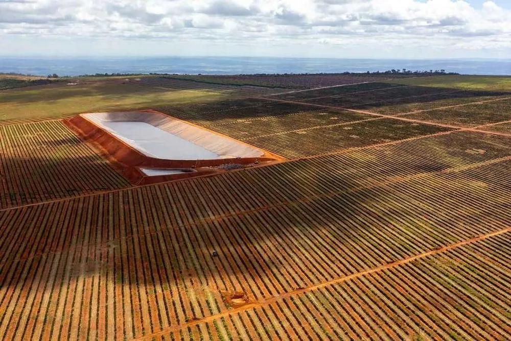 Fazenda, 3000 hectares - Foto 1