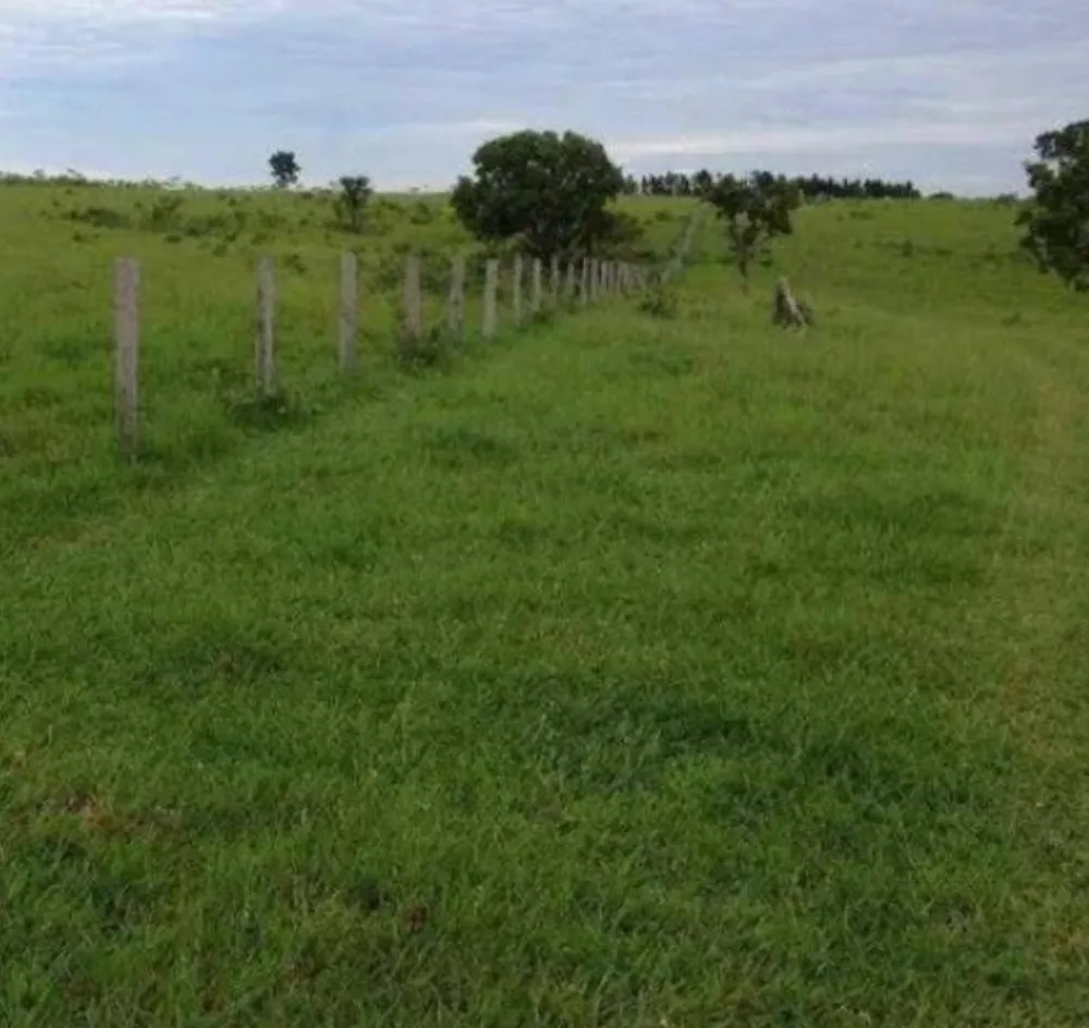 Fazenda - Foto 1