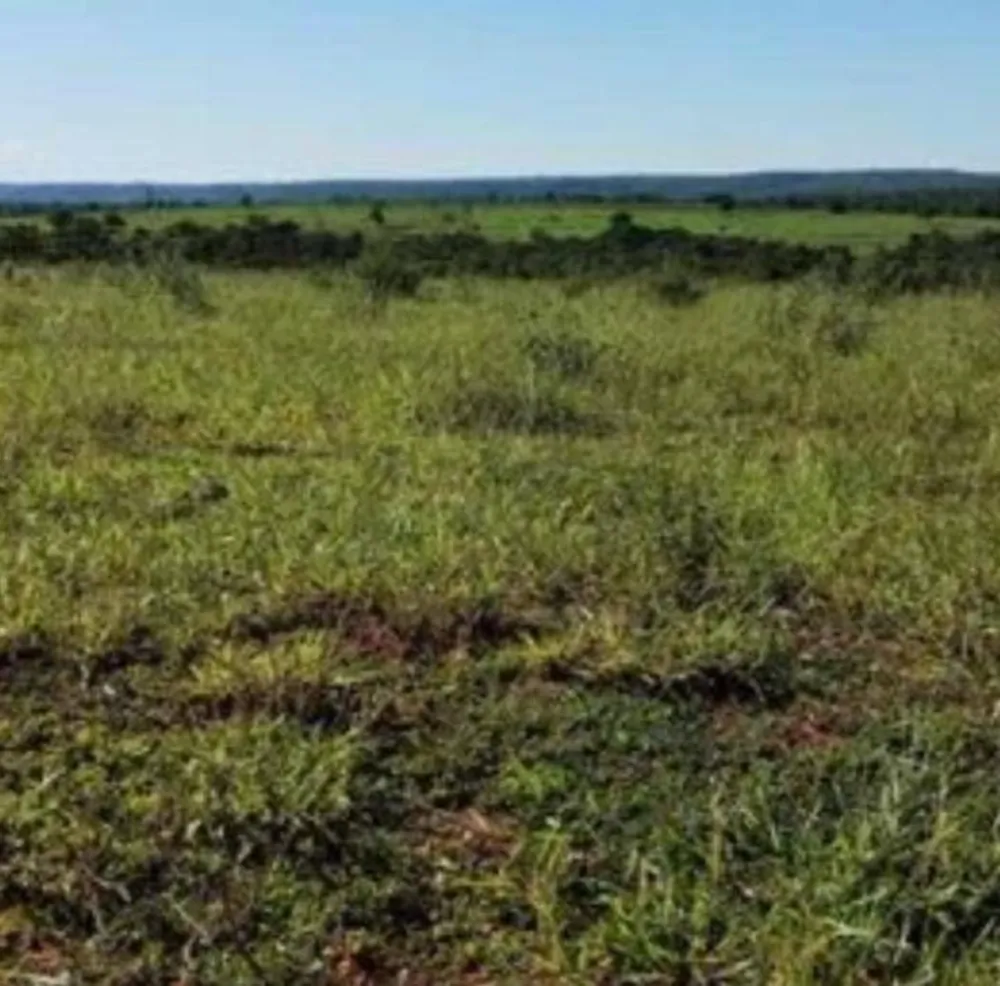 Fazenda - Foto 11