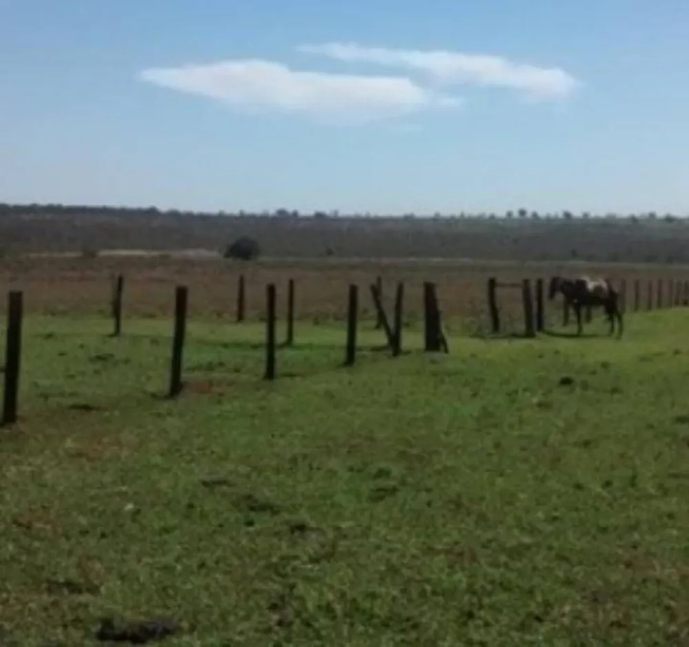 Fazenda - Foto 7