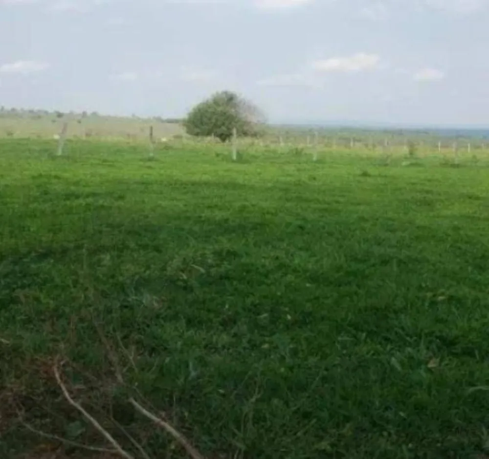 Fazenda - Foto 9