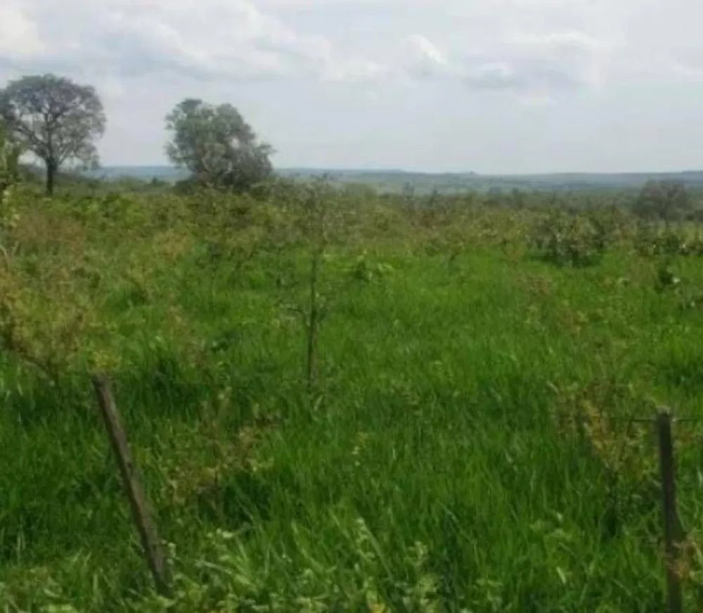 Fazenda - Foto 12