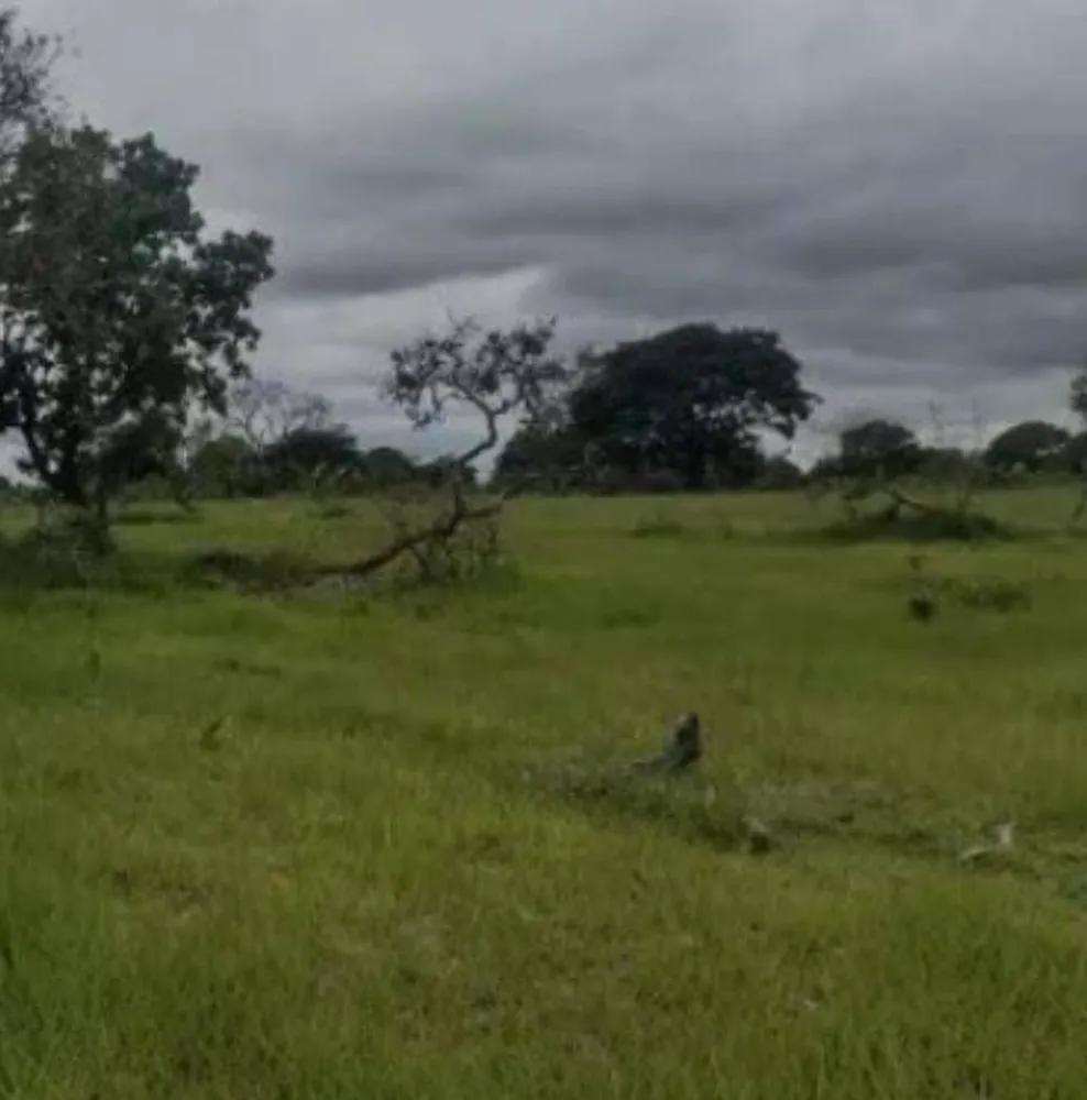 Fazenda - Foto 6