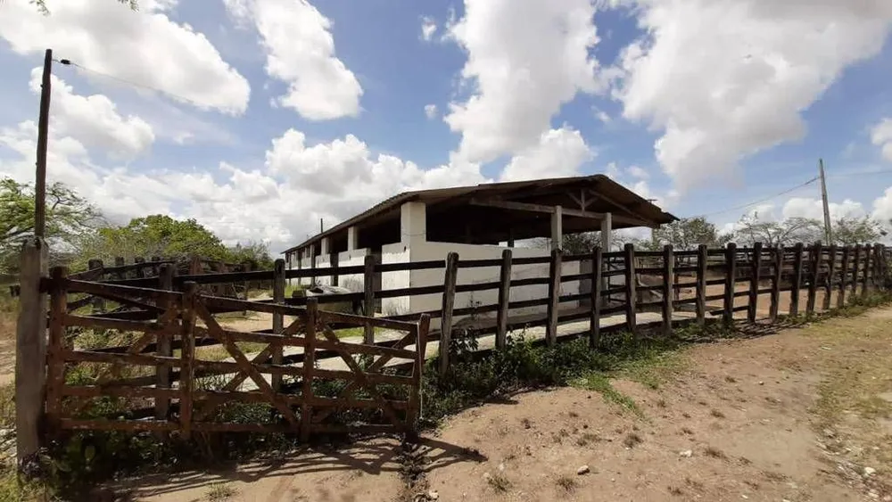 Fazenda, 1 quarto - Foto 11