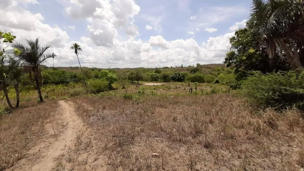 Fazenda, 1 quarto - Foto 3