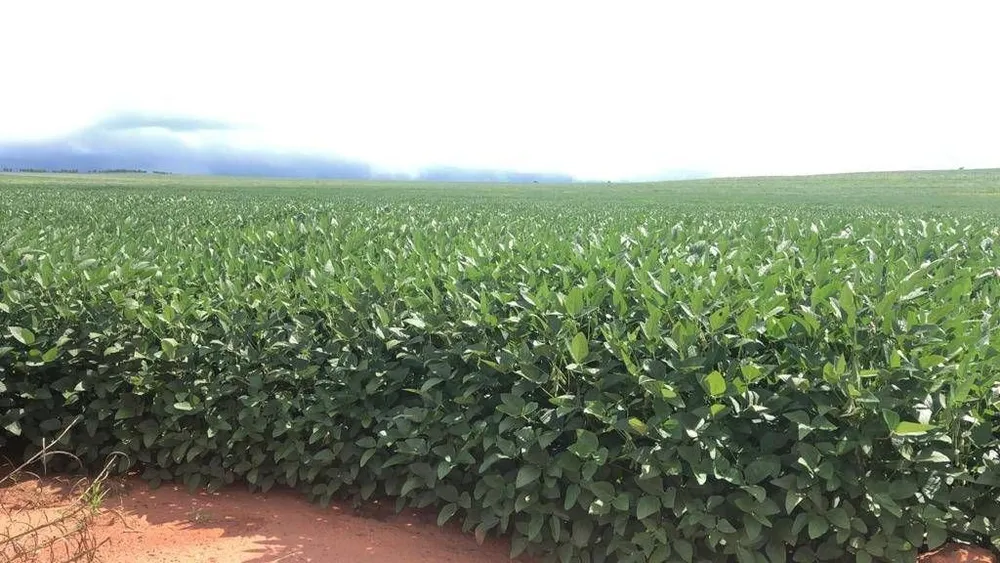 Fazenda, 1 quarto - Foto 15