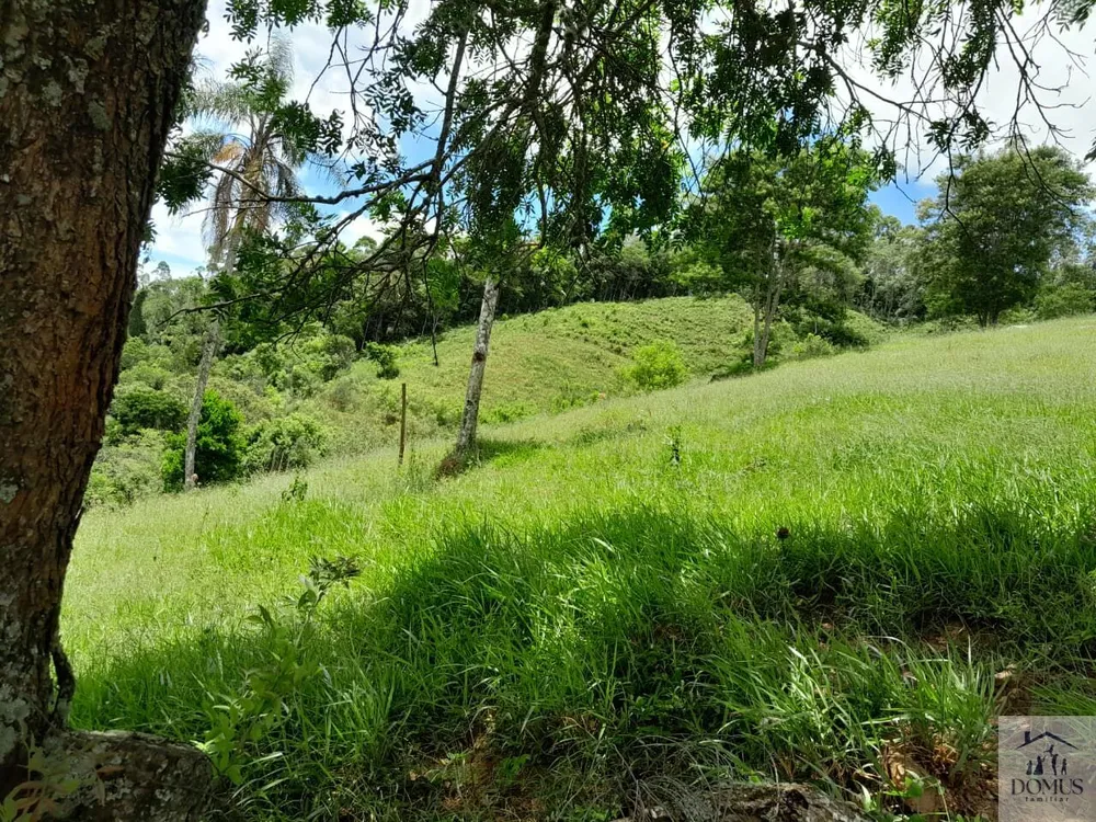 Chácara, 4 quartos, 2 hectares - Foto 8