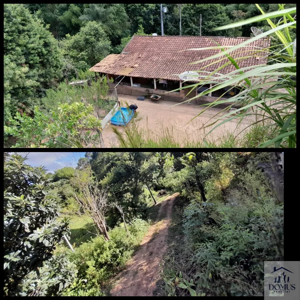 Chácara, 4 quartos, 2 hectares - Foto 6